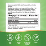 Nature's Way Niacinamide(NİACİN) B3 Non-Rhine (NON-FLUSH) 500 mg 100 Capsules - Görsel 3