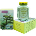 Wisdom Ginseng Kianpi Pil Doğal Karbonhidrat Yardımcısı Bitkisel Gainer 60 Kapsül