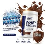 DNMT SERIES WHEY PROTEİN 500 GR