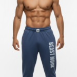 BEAST MODE GRİ ÇİZGİLİ MAVİ ŞALVAR KESİM