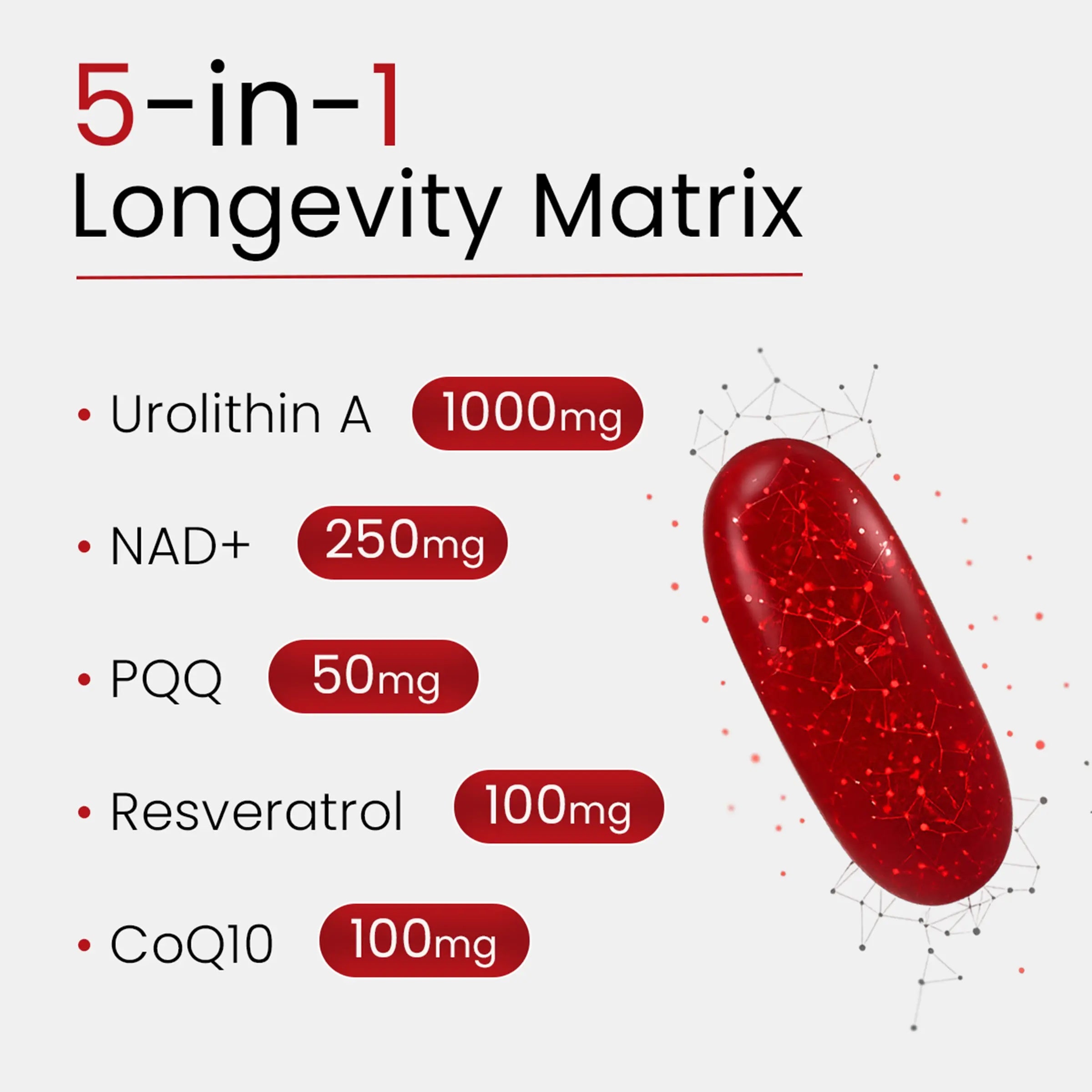 Bloomeo Urolithin A NAD Resveratrol CoQ10 Ubiquinone PQQ 5-in-1 120 Softgels - Görsel 2