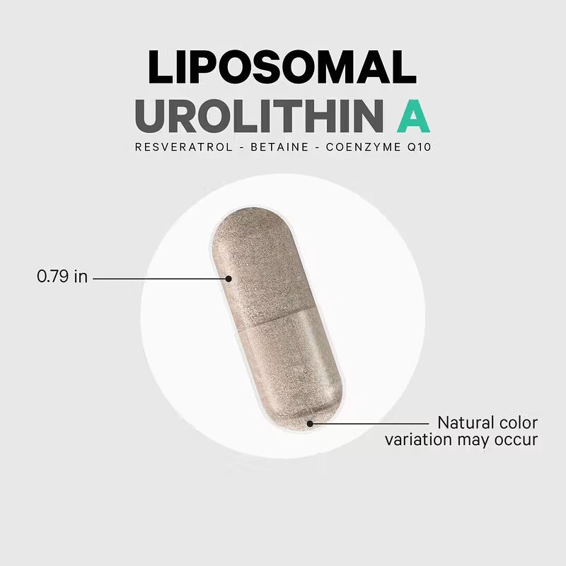 Codeage Liposomal Urolithin A Resveratrol CoQ10 Phospholipid 60 Caps - Görsel 3