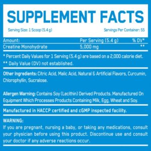 Everbuild Creatine 300 gram - 55 SERVİS - Görsel 2