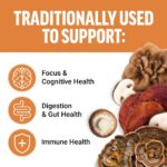 Force Factor Modern Mushrooms Lions Mane Turkey Tail Immunity Cognitive Digestion 90 Vege - Görsel 4