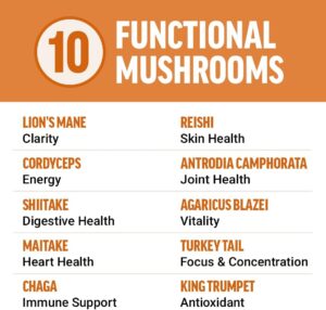 Force Factor Modern Mushrooms Lions Mane Turkey Tail Immunity Cognitive Digestion 90 Vege - Görsel 3
