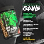 Mutant Big Greens Sea Greens Reds Antioxidants phytonutrients 1000mg spirulina  Probiotic 294 gr - Görsel 2