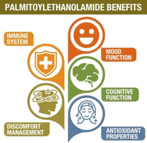 Rosmolo 1500 MG Palmitoylethanolamide with Luteolin 98% & Turmeric 60 Tablet - Görsel 3