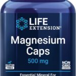 Life Extension Magnesium 500 mg Magnesium Oxide Citrate and Succinate 100 Veg Caps