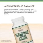 DOUBLE WOOD Berberine HCl with Ceylon Cinnamon AMPK Activator Blood sugar 120 Caps - Görsel 2