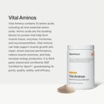 Momentous Vital Aminos Powder BCAA & EAA NSF Certified for Sport - GMO- & Gluten-Free - 30 Servings - Görsel 2