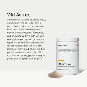 Momentous Vital Aminos Powder BCAA & EAA NSF Certified for Sport – GMO- & Gluten-Free – 30 Servings