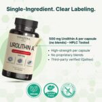 VINATURA Urolithin A 500mg Urolithin A+ Antioxidants Anti-Aging & Mitochondrial Support 30 Caps - Görsel 3