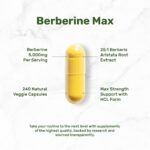 Deal Supplement Berberine Max Supplement with Turmeric, 5,000mg Per Serving, 240 Veggie Capsules - Görsel 4