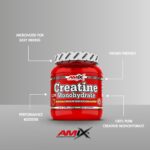 Amix Creatine Monohydrate Mikronize 300g - 5 gram 60 servis - Görsel 3