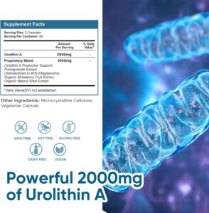 VIVALIFER Urolithin A 2000 MG Antioxidant Promoting Healthy Aging  Mitochondrial Health Repair 120 - Görsel 5