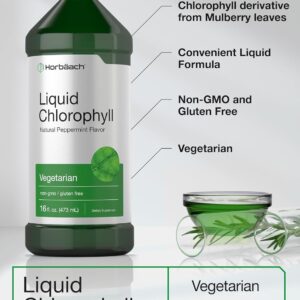 Horbaach Chlorophyll 100mg 32oz Liquid 473 ml