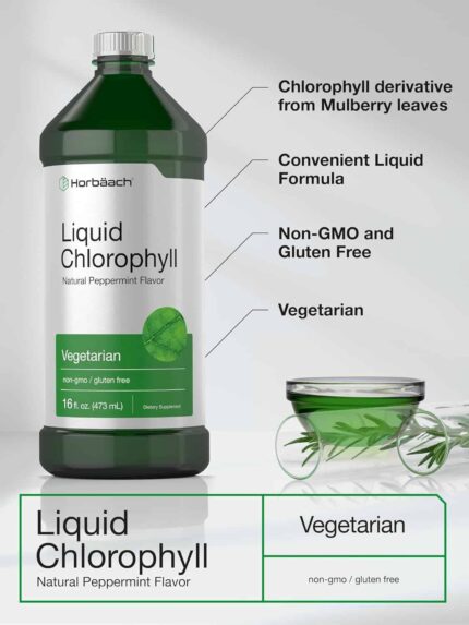 Horbaach Chlorophyll 100mg 32oz Liquid 473 ml
