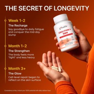 Gynable Patented Urolithin NMN Trans-Resveratrol & PQQ4-IN-1 Complex 30 Caps - Görsel 3