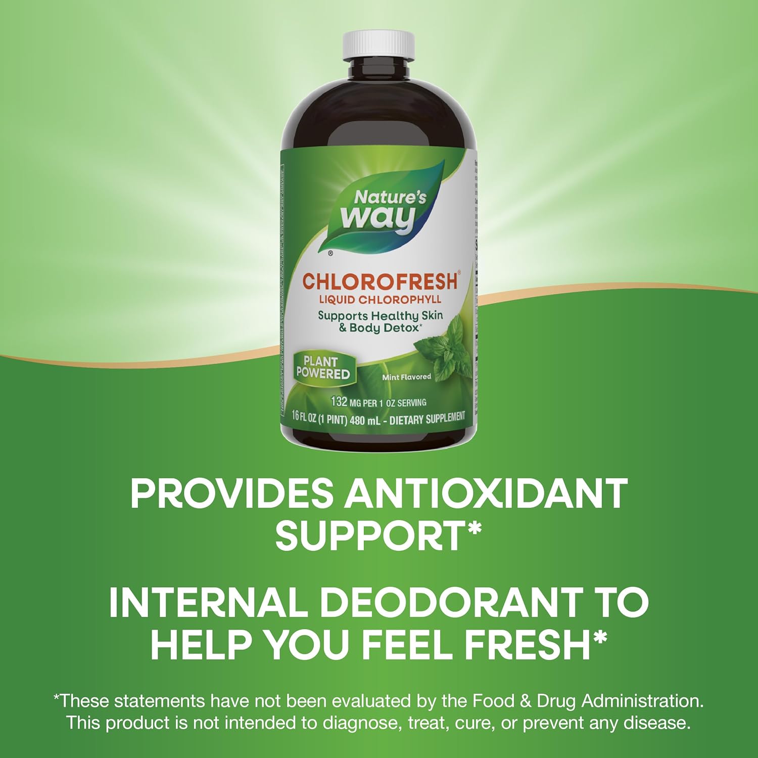 Nature’s Way Chlorofresh Liquid Chlorophyll 480 ml