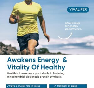 VIVALIFER Urolithin A 2000 MG Antioxidant Promoting Healthy Aging  Mitochondrial Health Repair 120 - Görsel 6