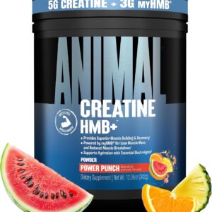Animal Creatine HMB Powder with Electrolytes for Recovery Daily Energy 30 Servings