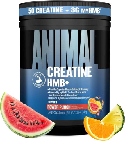 Animal Creatine HMB Powder with Electrolytes for Recovery Daily Energy 30 Servings