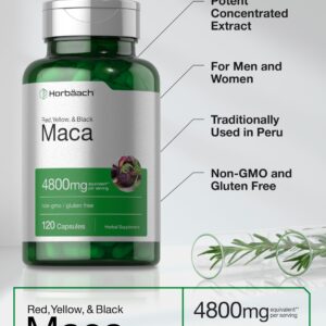 Horbäach Maca Root Matcha 4800mg | 120 Capsules