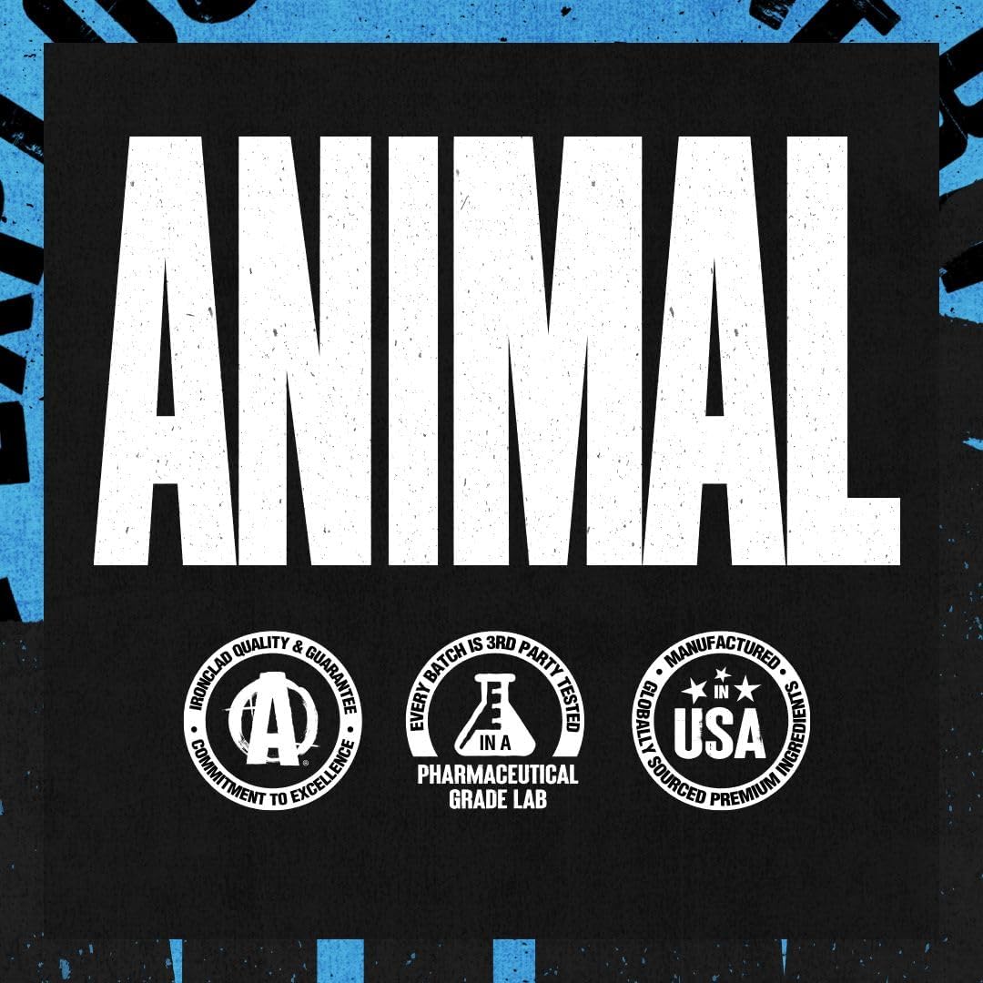Universal Animal Creatine Monohydrate 300gr - Görsel 3