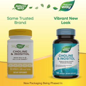 Nature’s Way Choline(Kolin) & Inositol, Supports Brain Health & Cellular Energy 100 Caps