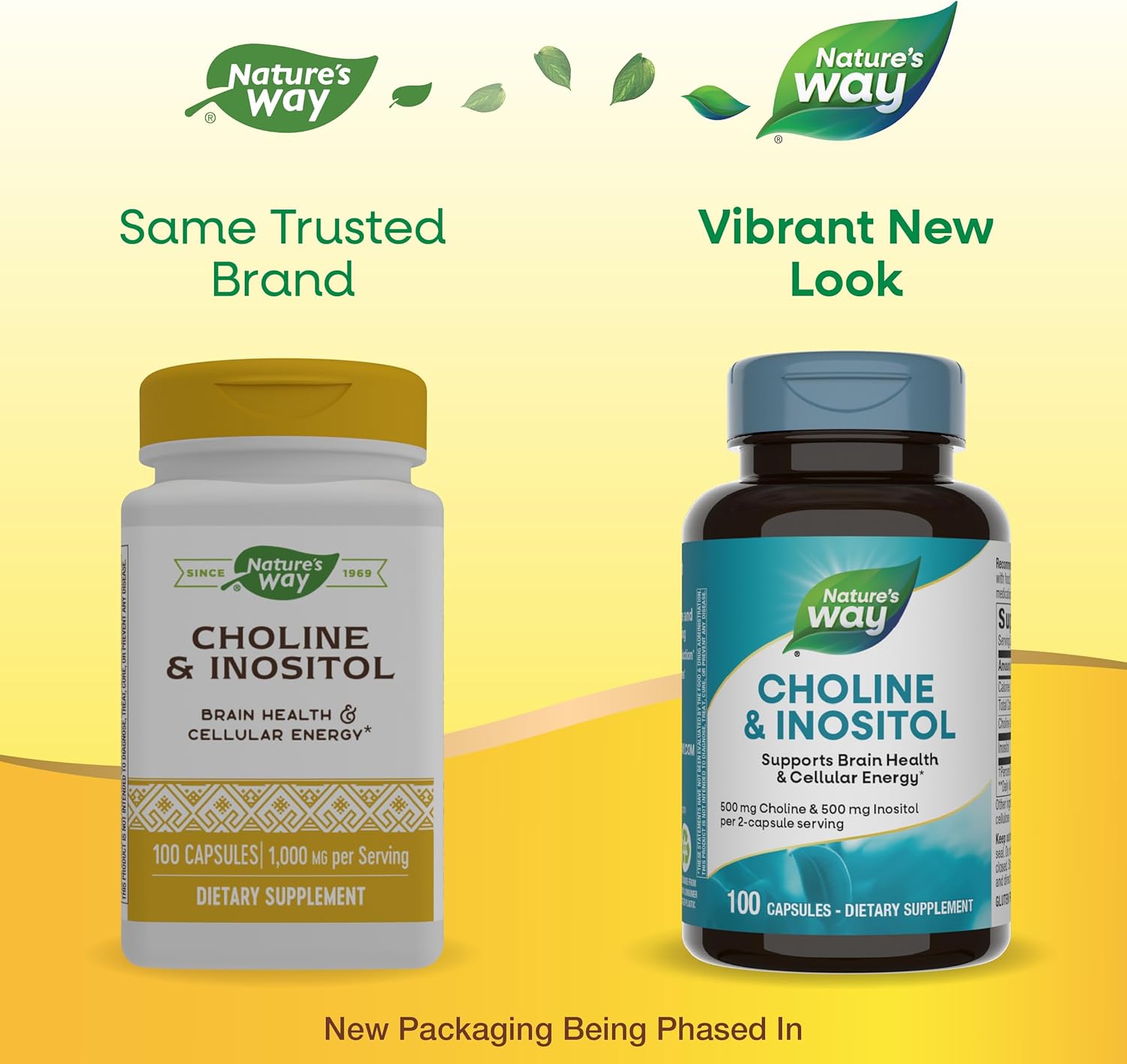 Nature's Way Choline(Kolin) & Inositol, Supports Brain Health & Cellular Energy 100 Caps - Görsel 2