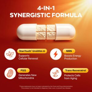 Gynable Patented Urolithin NMN Trans-Resveratrol & PQQ4-IN-1 Complex 30 Caps - Görsel 4