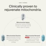 Timeline Mitopure Urolithin A Healthy Aging and Cellular Longevity 60 Softgels - Görsel 5