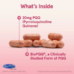 Jarrow Formulas PQQ Brain & Cognitive 20 mg 60 Caps - Görsel 3
