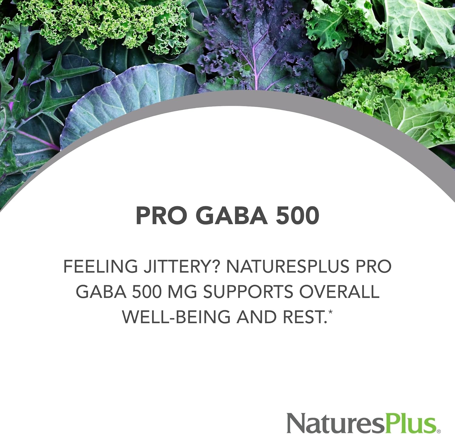 NaturesPlus PRO GABA 500 mg - 60 Caps - Görsel 4