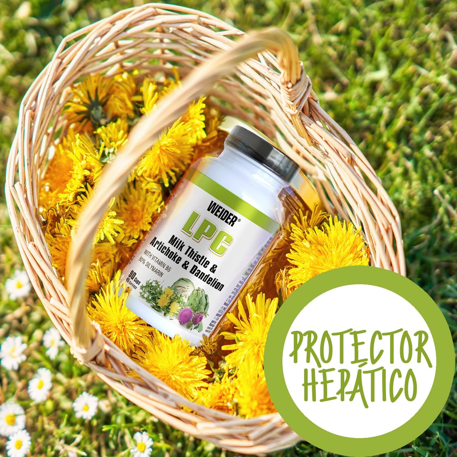 Weider LPC Liver Milk thistle(Deve dikeni)+Artichoke(Enginar) Dandelion Protector Cleanse – 90 caps