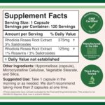 Double Wood Rhodiola Rosea Extract 500mg 120 Vegan Capsul - Görsel 4