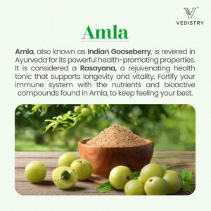 Vedistry Amla+ 1100mg Tablets with Amla & Long Pepper - Görsel 2