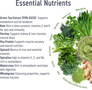 Applied Nutrition Critical Greens Superfood Blend for Gut Health Energy and Immune Support 30 Servis - Görsel 6