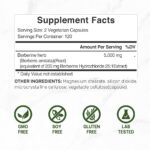 Deal Supplement Berberine Max Supplement with Turmeric, 5,000mg Per Serving, 240 Veggie Capsules - Görsel 6