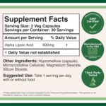 Double Wood Alpha Lipoic Potent Antioxidant for Neuropathy and Cardiovascular Health 600 Mg 60 Caps - Görsel 2