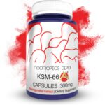 Nootropics Depot KSM66 Ashwagandha Capsules 300mg 90 Caps