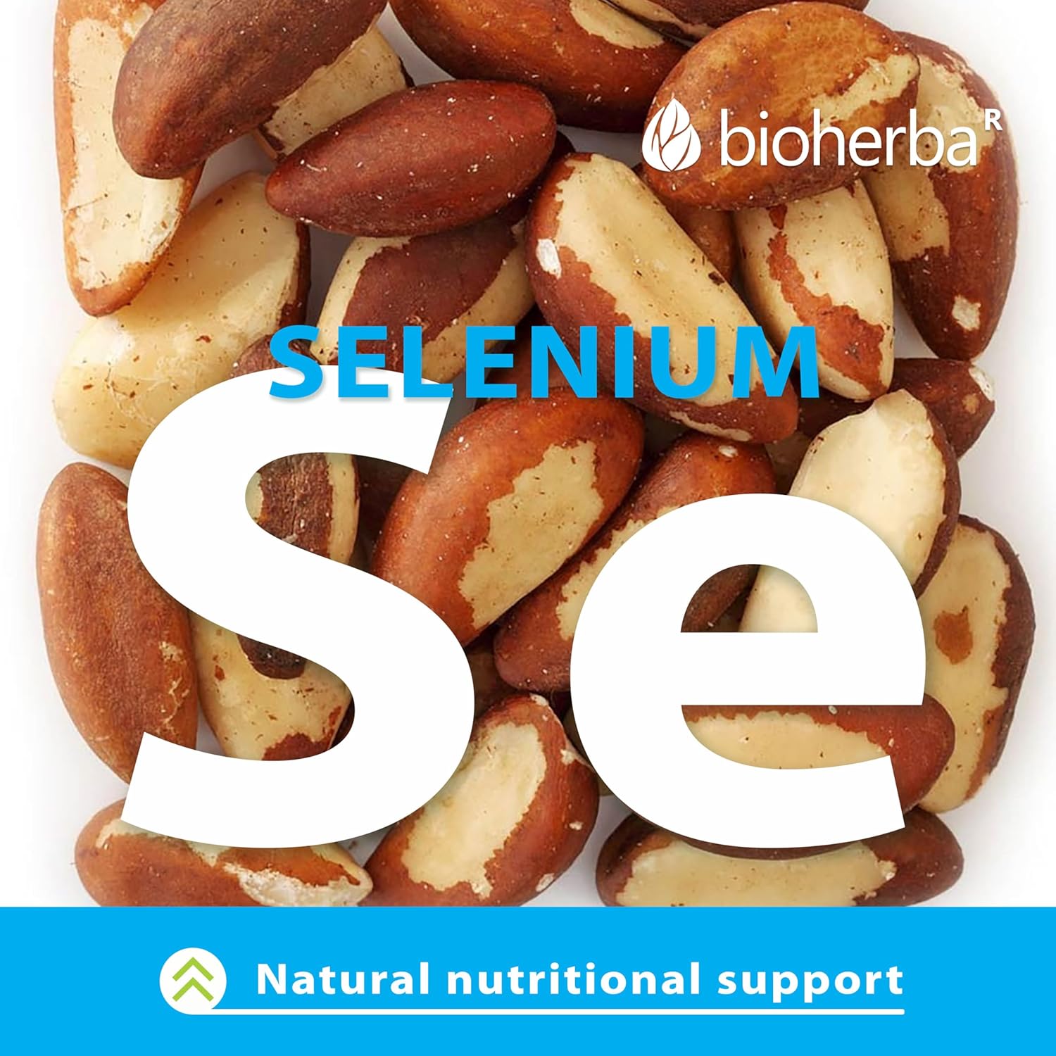 Bioherba Maca(Matcha tozu) extract+Selenium(Selenyum) 350 mg 100 caps - Görsel 4