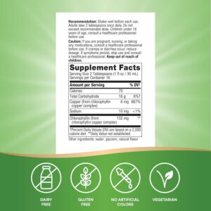 Nature's Way Chlorofresh Liquid Chlorophyll 480 ml - Görsel 4