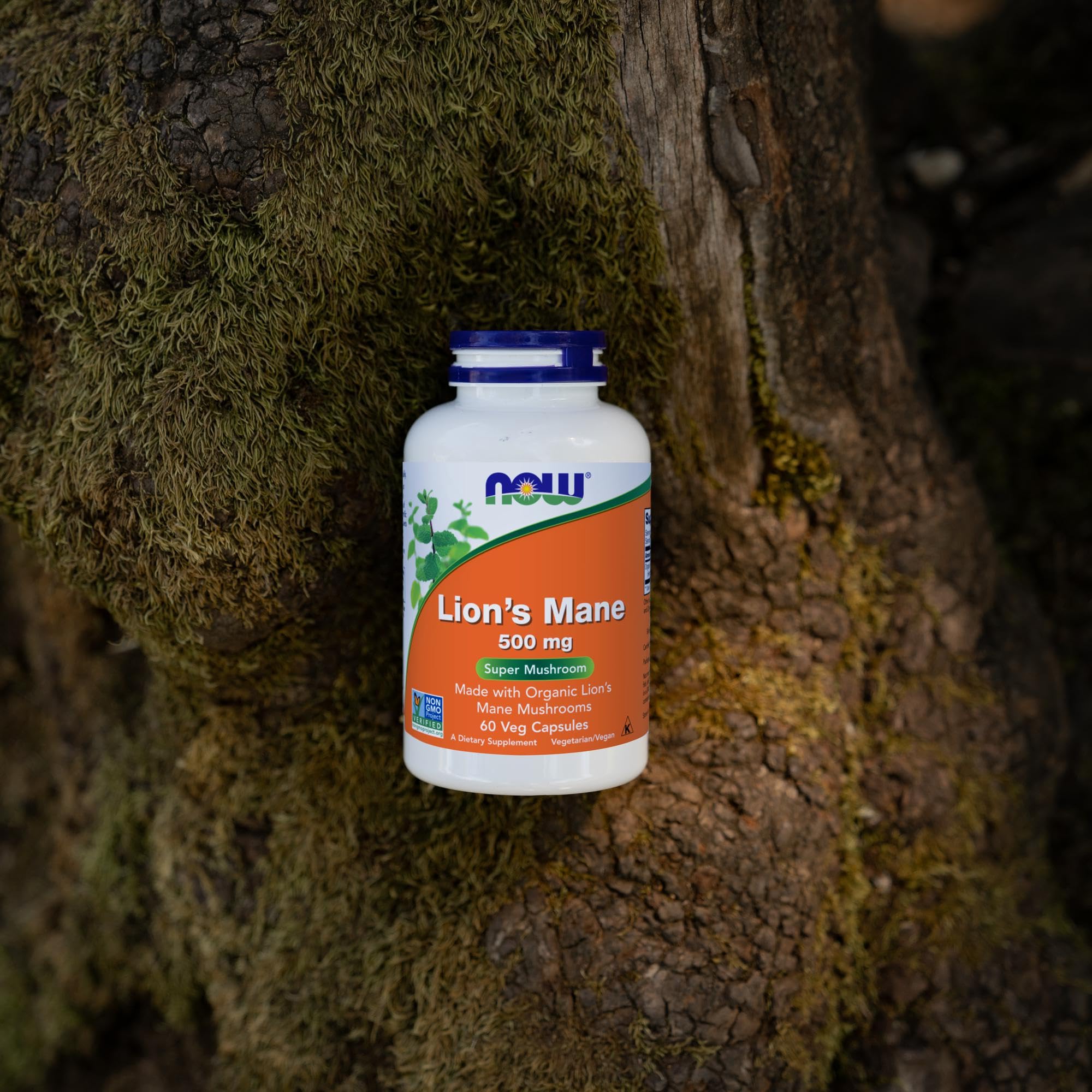 NOW Foods, Lion’s Mane (Aslan yelesi mantarı) 500 mg, 60 Veggie Capsules