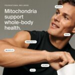 Timeline Mitopure Urolithin A Healthy Aging and Cellular Longevity 60 Softgels - Görsel 2