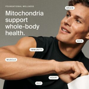Timeline Mitopure Urolithin A Healthy Aging and Cellular Longevity 60 Softgels