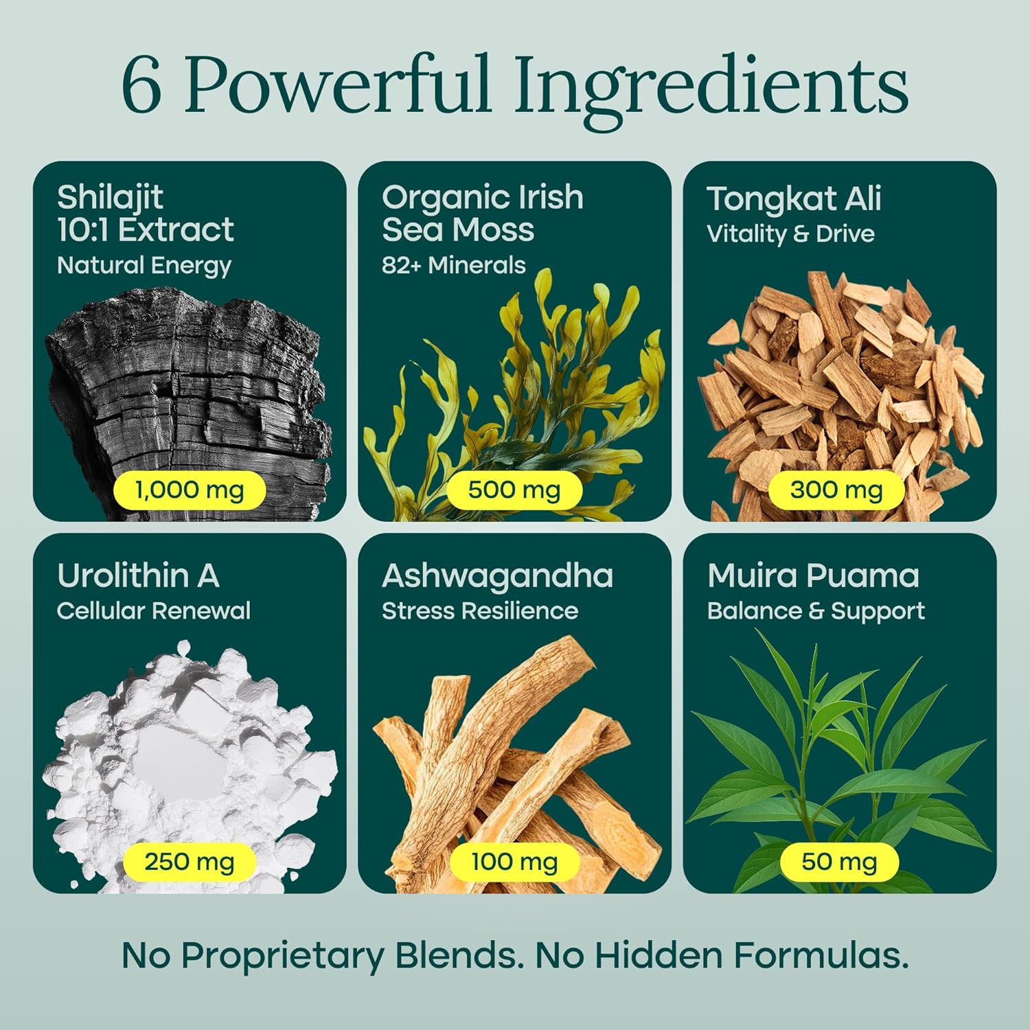 Etta Vita Urolithin-A Complex Shilajit Irish Sea Moss Tongkat Ali Ashwagandha 90 Caps - Görsel 3