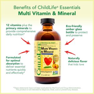 CHILDLIFE ESSENTIALS Kids Multivitamin Mineral Liquid Vitamin - Görsel 2