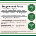 Double Wood Fisetin Bioflavonoid Polyphenols Apigenin Luteolin Quercetin Aging Support 100mg 60 Caps - Görsel 2
