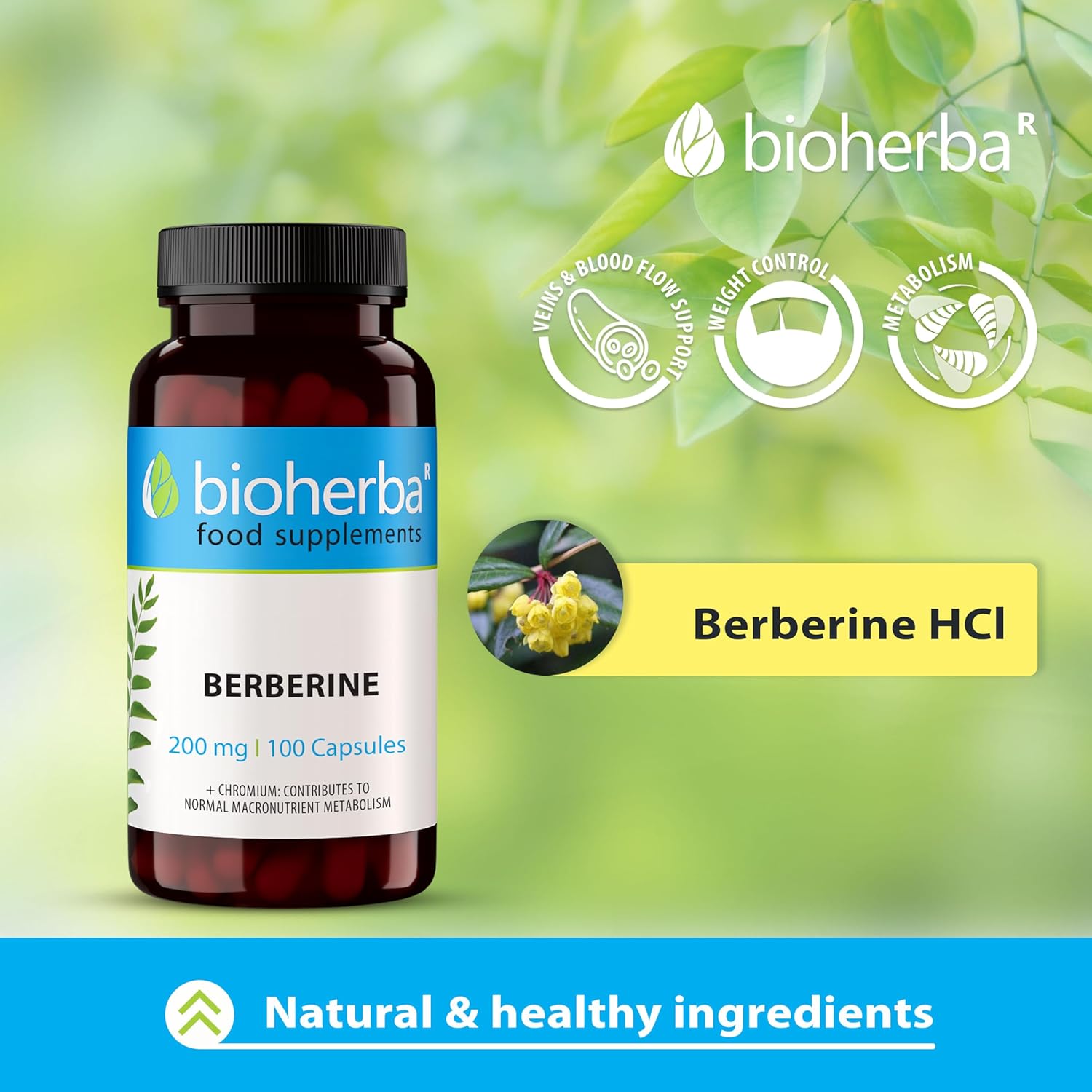 Bioherba Berberine Antioxidant(Antioksidan) 200 mg 100 caps - Görsel 4